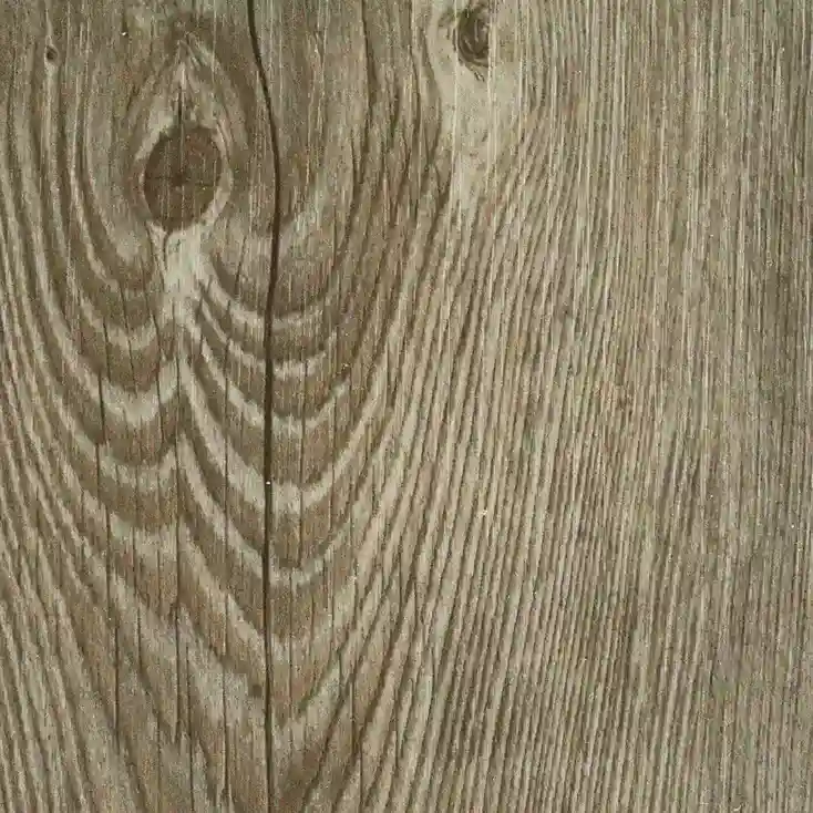 Polar SPC Eco – Antique